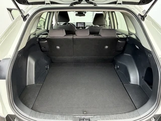 Toyota RAV4 2.0 VVT-iE Business Trekhaak (2000 kg) Adapt.Cruise Carplay Camera Voll.Dealer Onderhouden! / 21