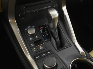 Lexus NX 300h AWD 25th Edition / 26