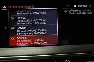 BMW X4 xDrive20i Business Edition Plus | PANORAMADAK | HEAD UP | HOUTAFWERKING | STUURVERWARMING | 19" / 57