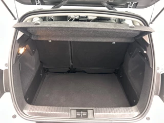 Renault Captur 1.0 TCe 90 Navigatie Apple/Carplay Climate/control / 19