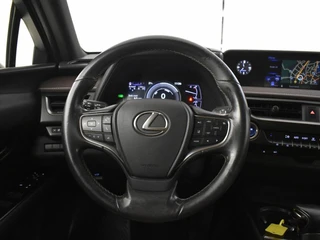 Lexus UX 250h First Edition | Elektr. a. klep | Trekhaak | PDC / 14