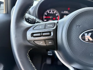 Kia Picanto 1.0 DPi DynamicPlusLine | Navi | Camera | Keyless | Climate Control | Cruise Control | Apple Carplay | Android Auto | Lichtmetalen Velgen | / 18
