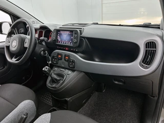 Fiat Panda 1.0 Hybrid Cross CARPLAY | CLIMA / 23