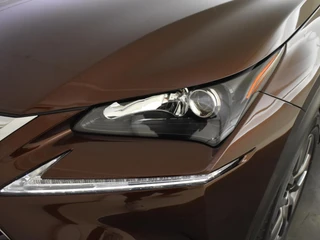 Lexus NX 300h AWD 25th Edition / 10