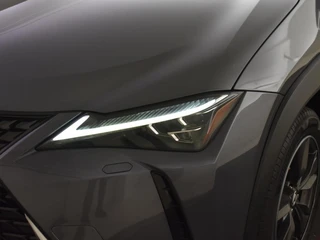 Lexus UX 250h First Edition | Elektr. a. klep | Trekhaak | PDC / 10
