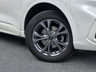 Ford Kuga 2.5 PHEV ST-Line X | PANO | TREKHAAK | ADAPTIVE | WINTERPAKKET | 360 CAMERA / 12