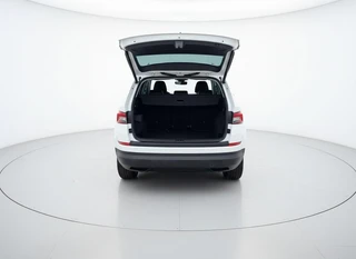 Skoda Kodiaq 1.5 TSI Limited Business Edition / 12