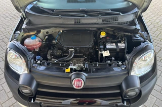 Fiat PANDA 1.0 Hybrid Pandina Cross | CRUISE | PARKEER SENSOREN | CARPLAY | / 29