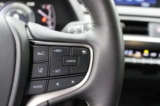 Lexus UX 250h Business Line Pro / 19