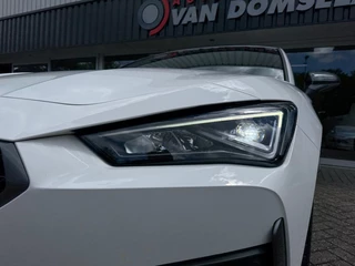 CUPRA Leon 1.4 e-Hybrid VZ Business 245PK LED Navi ACC Carplay / 59