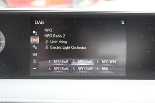 Lexus UX 250h Preference Line 1e EIGENAAR NL-AUTO KEYLESS CARPLAY/ANDROID BLIND-SPOT CAMERA PARK-SENS / 17