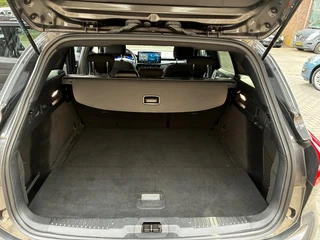 Ford Focus 1.0 EcoBoost Hybrid ST Line X / 13