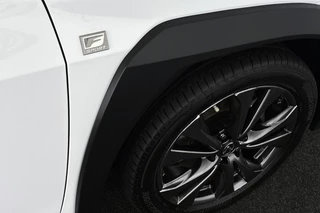 Lexus UX 250h AWD F Sport Premium / 44