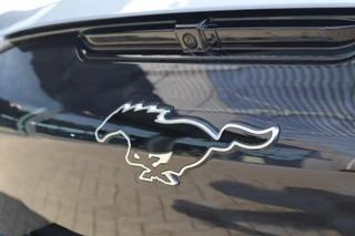 Ford Mustang Mach-E GT AWD 98KWH 487PK FABRIEKSAUTO!! B&O HALF-LEDER PANO 360-CAMERA 4JR/100.000KM-FABR-GARANTIE / 14