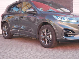 Ford Kuga 2.5 PHEV ST-Line X Camera| Navi+BT| Winterpack| ACC / 29