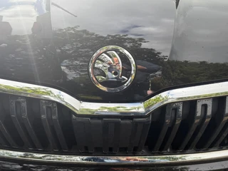 Škoda Kamiq 1.0 TSI Business Edition  Airco-Ecc/Alu wielen/Mistl./Navigatie / 12