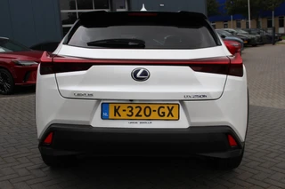 Lexus UX 250h Business Line Pro / 6