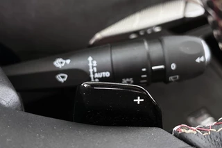 DS DS 4 E-Tense Performance Line / 38