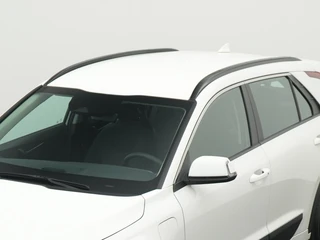 Kia Niro 1.6 GDi PHEV DynamicLine Camera | Private lease 599 per maand / 6