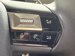 DS DS 4 225pk E-Tense Rivoli (Leder incl verwarming/Geheugen - LED - Automatische Airco - Adaptieve Cruise Controle - Keyless Entry - Camera - 19" incl 4S - Apple Carplay - Head up)) / 17