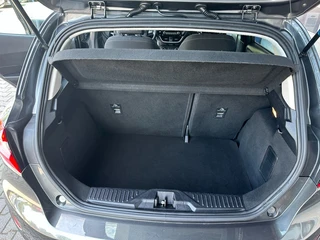 Ford Fiesta 1.0 ECOB. TITANIUM CAMERA. / 14