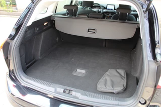 Ford Focus Wagon 1.0 EcoBoost Active Business | Trekhaak | Cruise Control | Winter Pack / 38