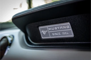 Ford Mustang Convertible 2.3 EcoBoost  Stoelventilatie Shaker Audio NL Auto / 35