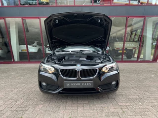 BMW 2 Serie Cabrio 220i  | NL auto | 2e eigenaar | PDC | Navi | Leder | Stoelverw. | / 41