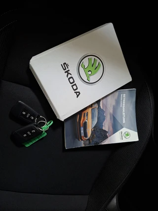 Skoda Karoq 1.0 TSI Ambition * Panoramadak * Camera * Adaptieve Cruise Control * / 15