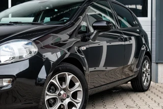 Fiat Punto Evo 0.9 TwinAir Sempre|TREKHAAK|PDC|CLIMATE|CRUISE|DAB / 21