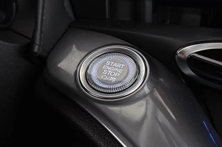 Fiat 500 Urban 42 kWh Stoelverwarming Apple CarPlay Achteruitrijcamera / 40