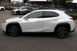 Lexus UX 250h Business Line Pro / 8