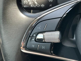 Škoda Fabia Combi 1.0 TSI Style 1Eig DAB Carplay Stoelverw Black metal / 21