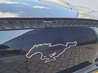 Ford Mustang Mach-E RWD 75 kWh Soh 93.5% Technology Pack Memory Pano.dak 360° B&O LEER / 45