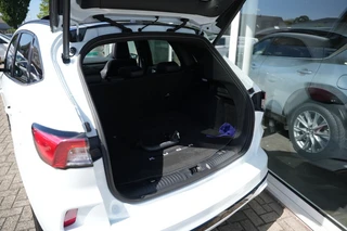 Ford Kuga 2.5 PHEV ST-LINE X .Carplay, Pano, Trekhaak / 14