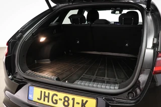 Kia ProCeed 1.5 T-GDI GT-Line | CAMERA | CLIMATE CONTROL / 13