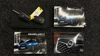 Opel Grandland X 1.2 Turbo Business Elegance TREKHAAK NAVI ECC CRUISE LM. / 33