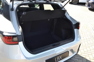 Lexus LBX 1.5 2WD / 31