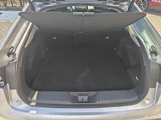 Toyota Prius 2.0 Plug-in Hybrid 220 PARK-SENSOREN BLIND-SPOT KEYLESS STOEL/STUURVERW CAMERA APPLE/ANDROID DAB+ LM-VELGEN AD-CRUISE ELEK-ACHTERKLEP / 13