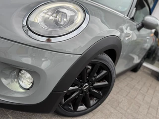 MINI Cooper Cabrio 1.5 Cooper Chili Serious Business I LED I Leer I Stoelverw. I Climate contr. / 14