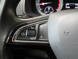 Škoda Karoq 1.0 TSI Greentech 115pk Ambition Business / 18