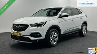 Opel Grandland X 1.2 Turbo Business Executive CAMERA TREKHAAK CARPLAY LM NAVI ECC CRUISE.