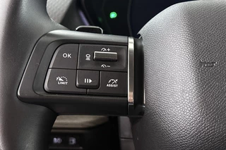 Citroen C5 X 1.6 Plug-in Hybrid 225 Shine Leder Stoel-Stuur-Voorruitverwarming / 33