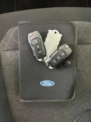 Ford Fiesta 1.0 EcoBoost Active First Edition Stoelverwarming|PDC|17" LM VELGEN|APPLE CARPLAY|CRUISECONTROL / 31