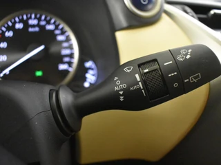 Lexus NX 300h AWD 25th Edition / 19