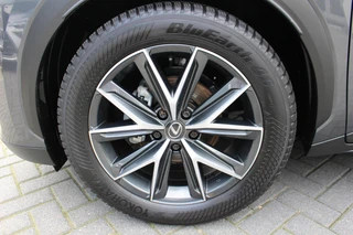 Lexus LBX 1.5 Emotion 2WD / 11