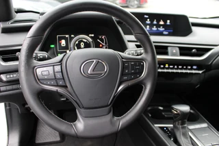 Lexus UX 250h Business Line Pro / 17