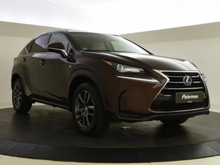 Lexus NX 300h AWD 25th Edition / 8