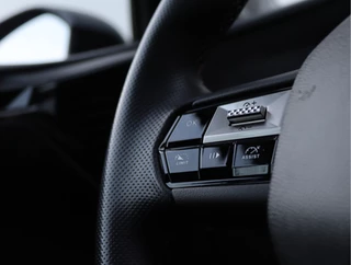 DS DS 4 1.2 PureTech Performance Line  | Parkeercamera | Navigatie | Org. NL / 36