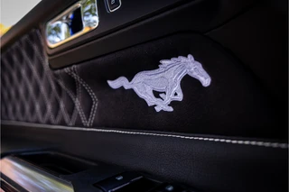 Ford Mustang Convertible 2.3 EcoBoost  Stoelventilatie Shaker Audio NL Auto / 28